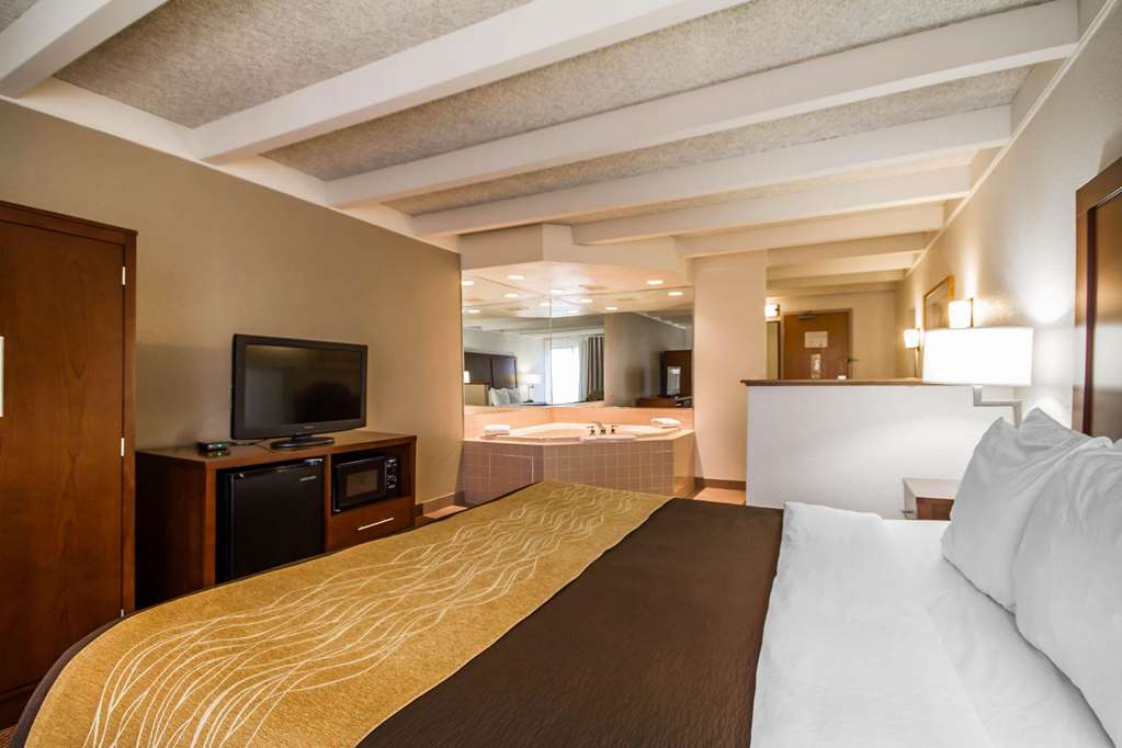 Comfort Inn & Suites Madison Airport - photo 27