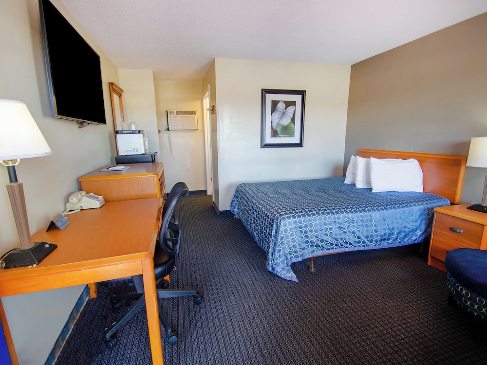 Sportsman's Inn Plymouth 252 793 3095 - photo 7