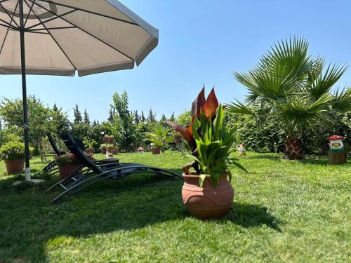 Olympus Sea View Apartment. — 4-Star Luxury Hotel in Agios Pavlos, Greece