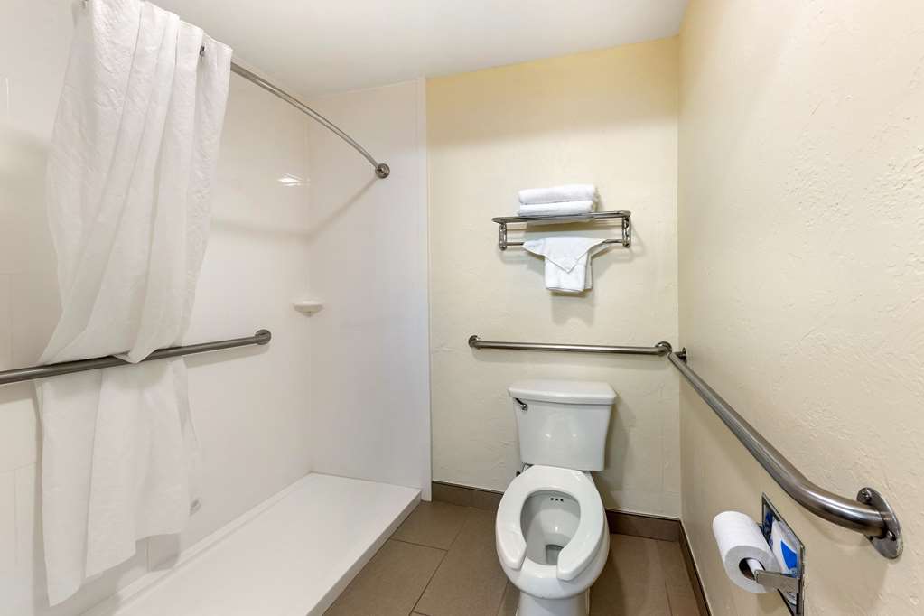 Best Western Greentree Inn & Suites - photo 25