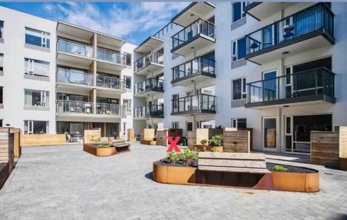 Luxury New Apt in Downtown