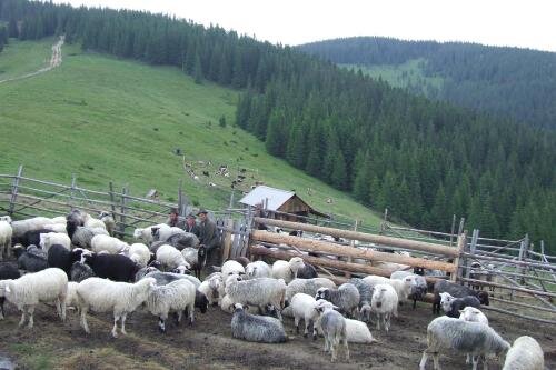 Sadyba Lyndukiv in Kosiv, Ukraine