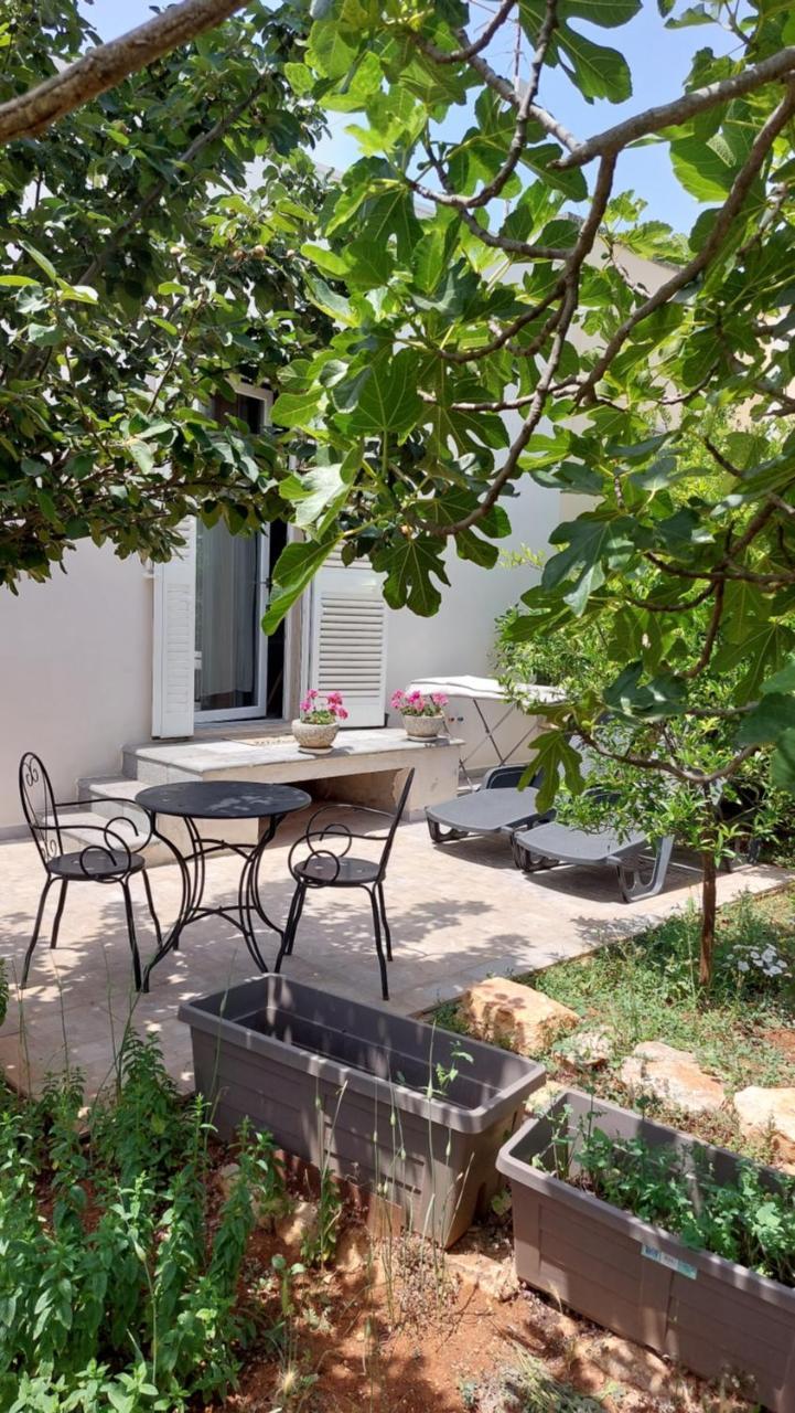 All’ombra dell’ulivo in Monopoli, Italy