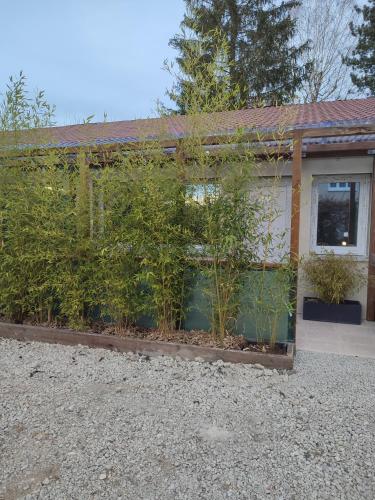 Studio L in Oyonnax, France