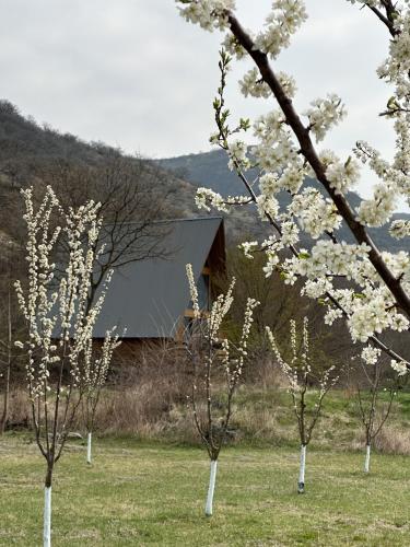 Samshvilde Hideaway in Unknown City, Georgia