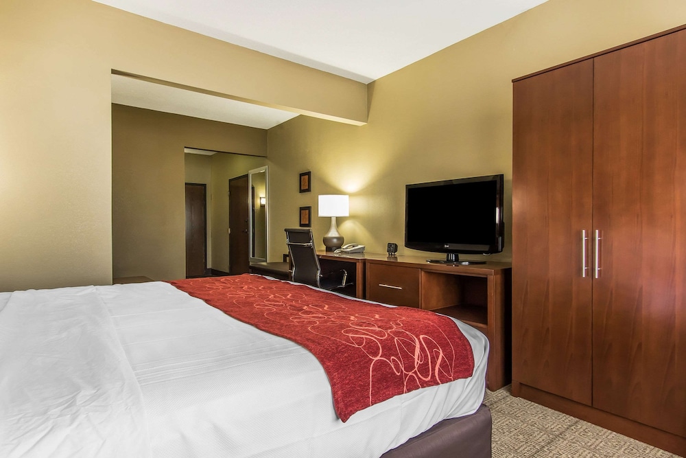 Comfort Suites Effingham Central - photo 9