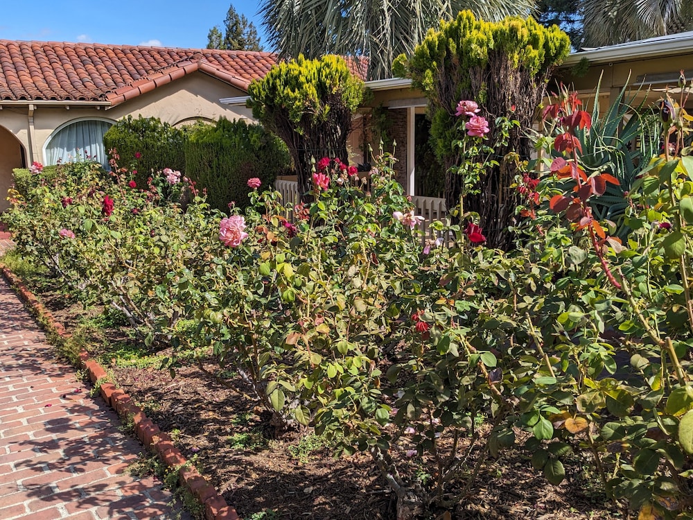 Los Gatos Garden Inn Hotel - photo 45