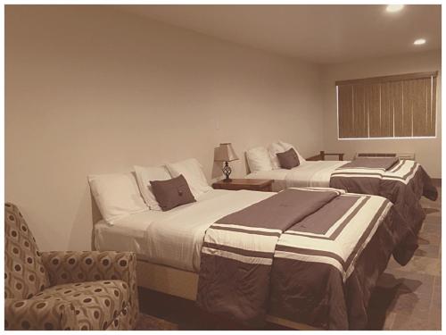 Harbour Inn - photo 20