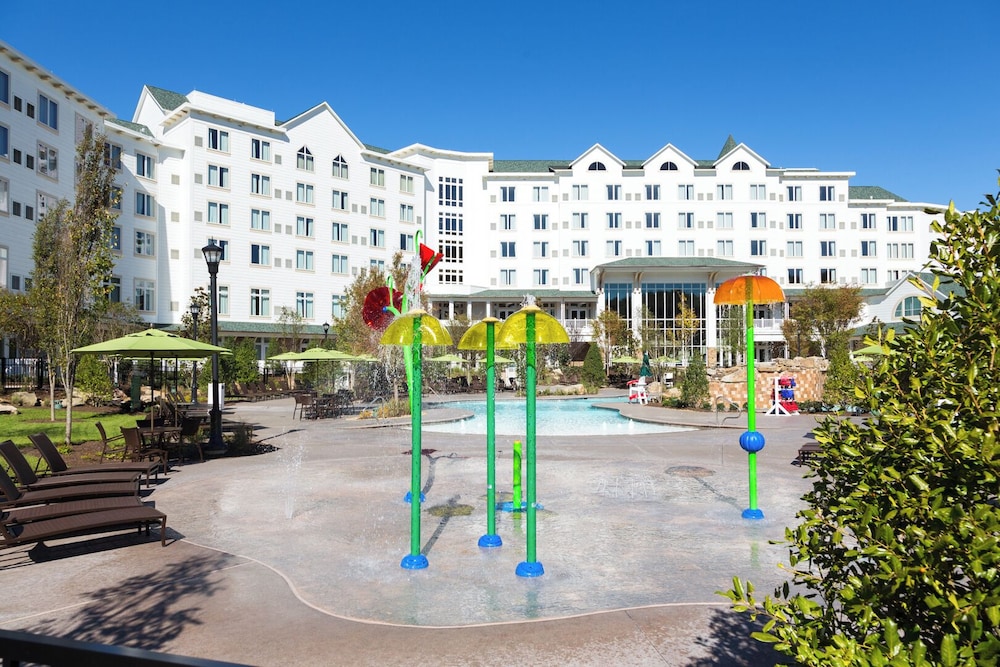 Dollywood's DreamMore Resort - photo 32