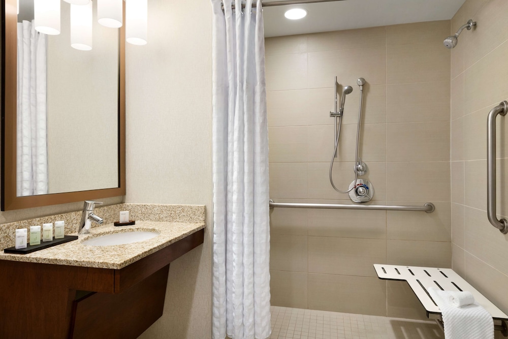 Embassy Suites by Hilton Denver Downtown Convention Center - photo 19