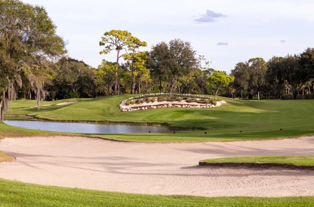 Innisbrook Resort - photo 85