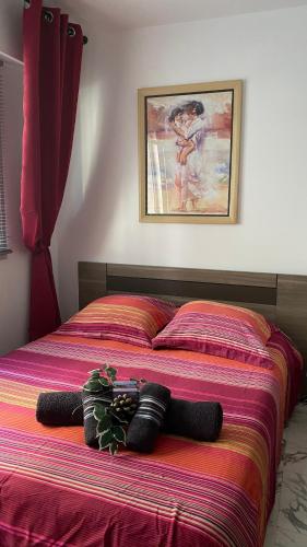 AZUR Studio loft — Toulon — photo 4
