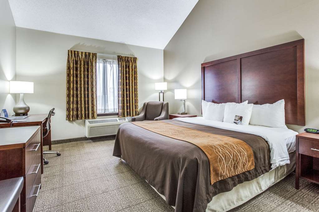 Comfort Inn & Suites Love Field Dallas Market Center - photo 9
