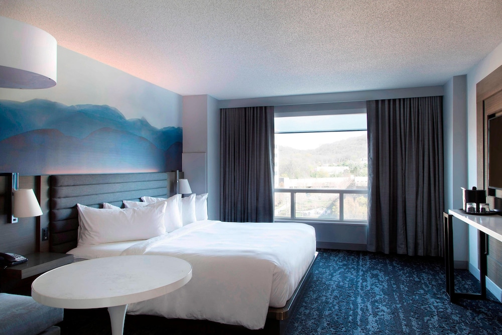 Franklin Marriott Cool Springs - photo 21