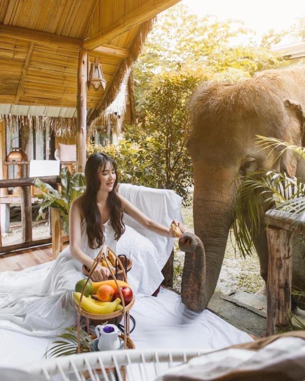 3 Pok Maewang jinxiang Gold elephant park — hotel in Ban Pong