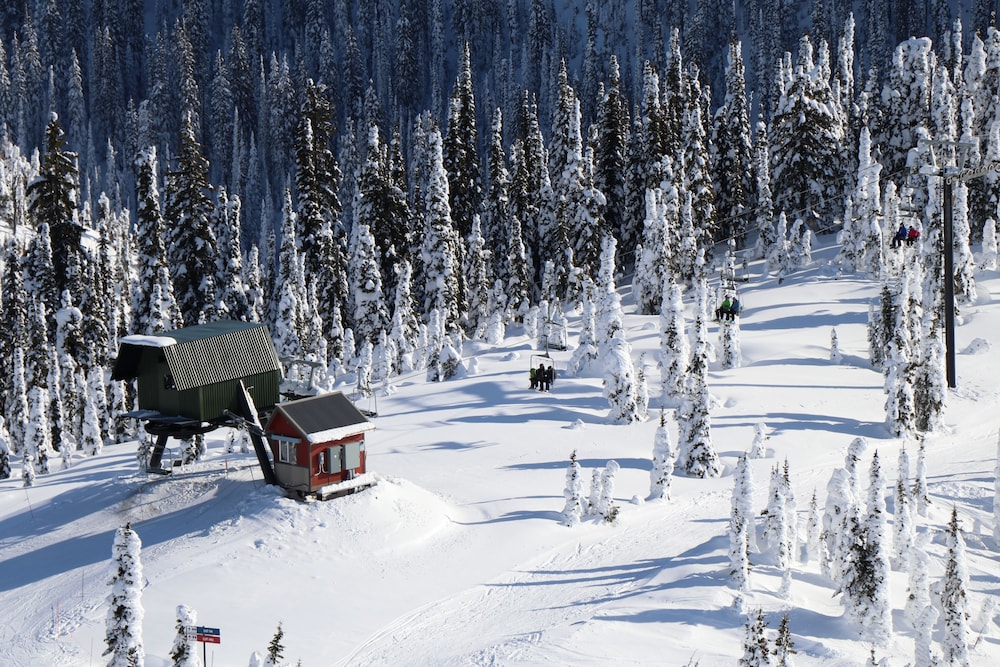 Meadow Lake Resort & Condos - photo 144