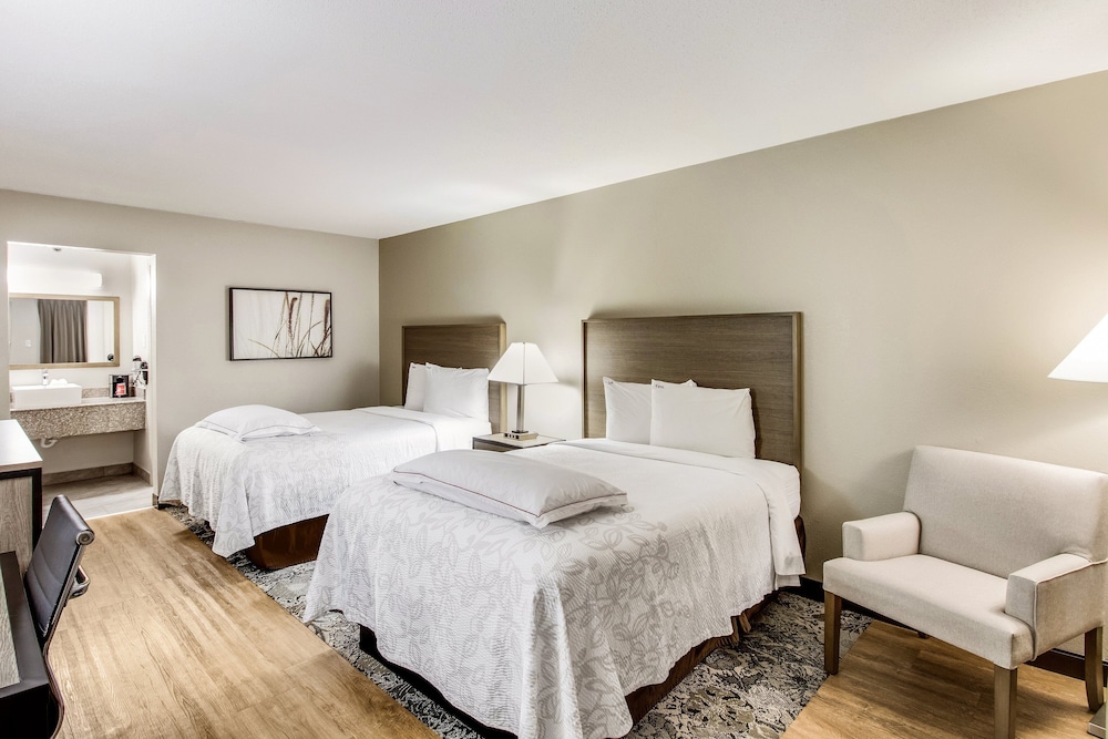 Red Roof Inn PLUS Dallas Addison - photo 21