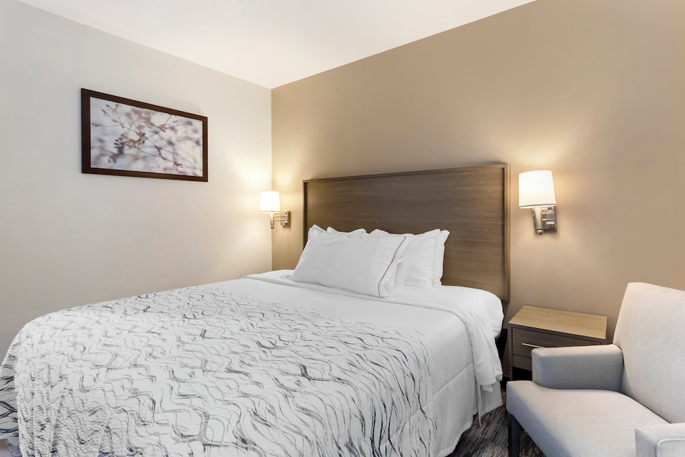 Red Roof Inn Plus Jamaica Ny Jfk Airport - photo 15