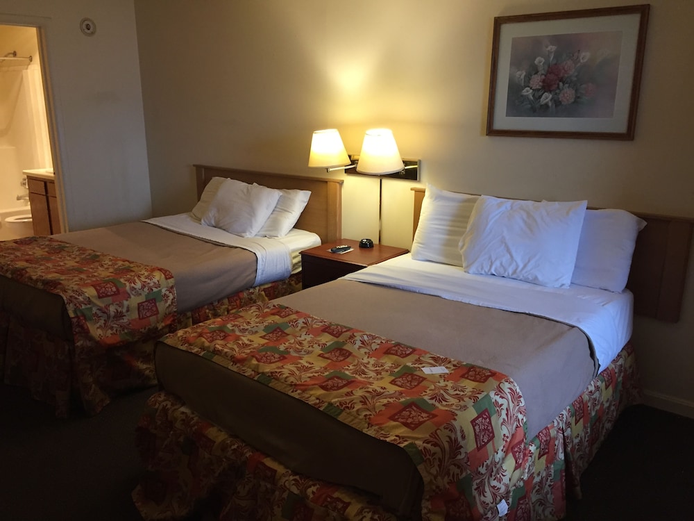 Wildwood Inn Tropical Dome & Theme Suites - photo 10
