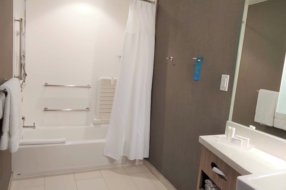 SpringHill Suites by Marriott Orlando at Millenia - photo 10