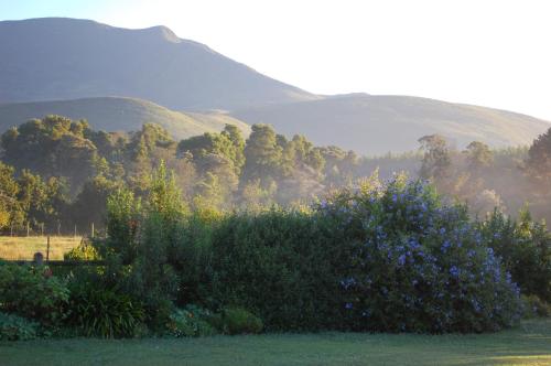 Four Fields Farm — 4-Star Luxury Hotel in Plettenberg Bay, South Africa
