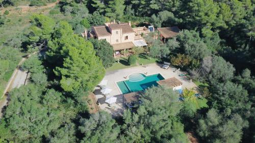 Pine Tree Finca Espiga — Portocolom