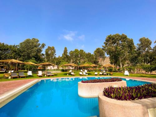 Bungalows de Casa Verde — 4-Star Luxury Hotel in Mala, Peru