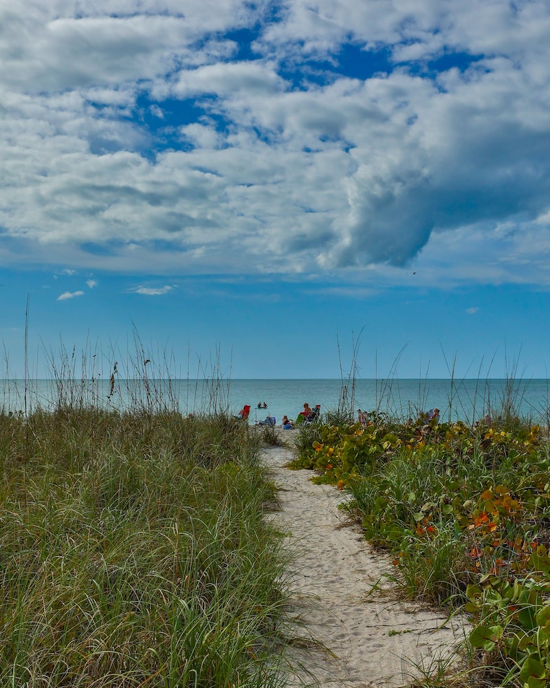 A Beach Retreat - photo 205