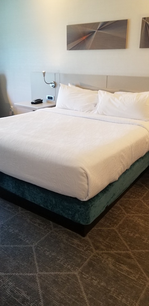 Hilton Garden Inn Colorado Springs Downtown - photo 12