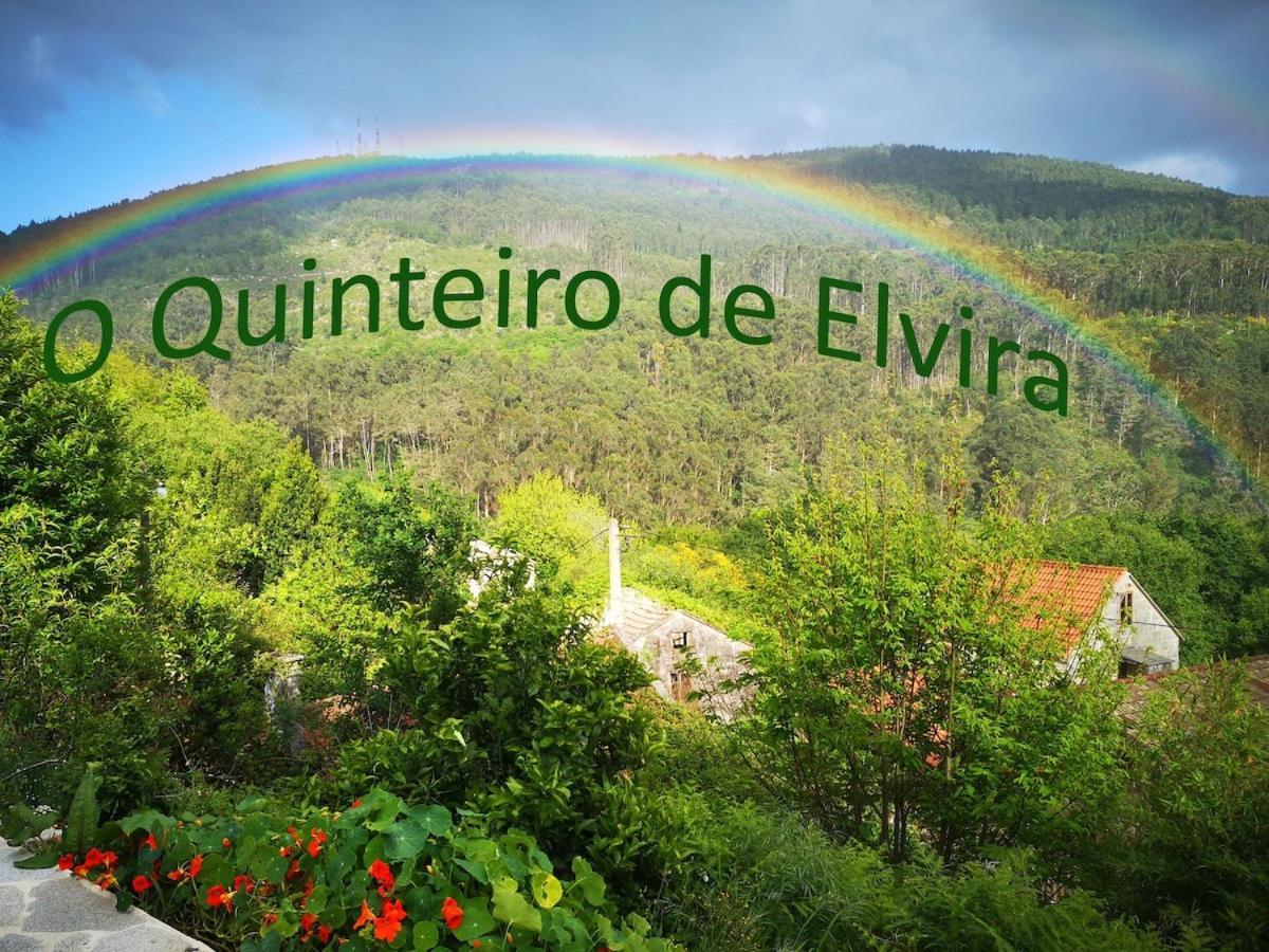 O Quinteiro De Elvira — Moana