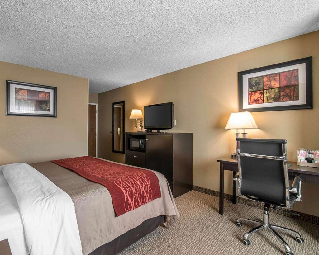 Comfort Inn Saugerties - photo 15