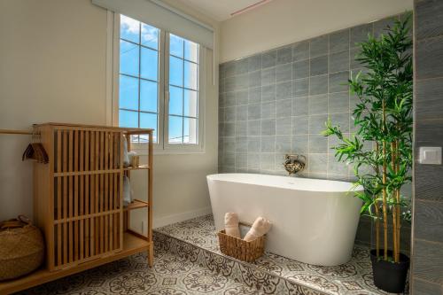 Tierritas Village - carbon neutral hotel in Santa Cruz De La Palma