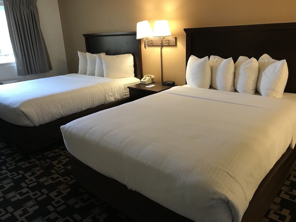MorningGlory Inn & Suites - photo 11