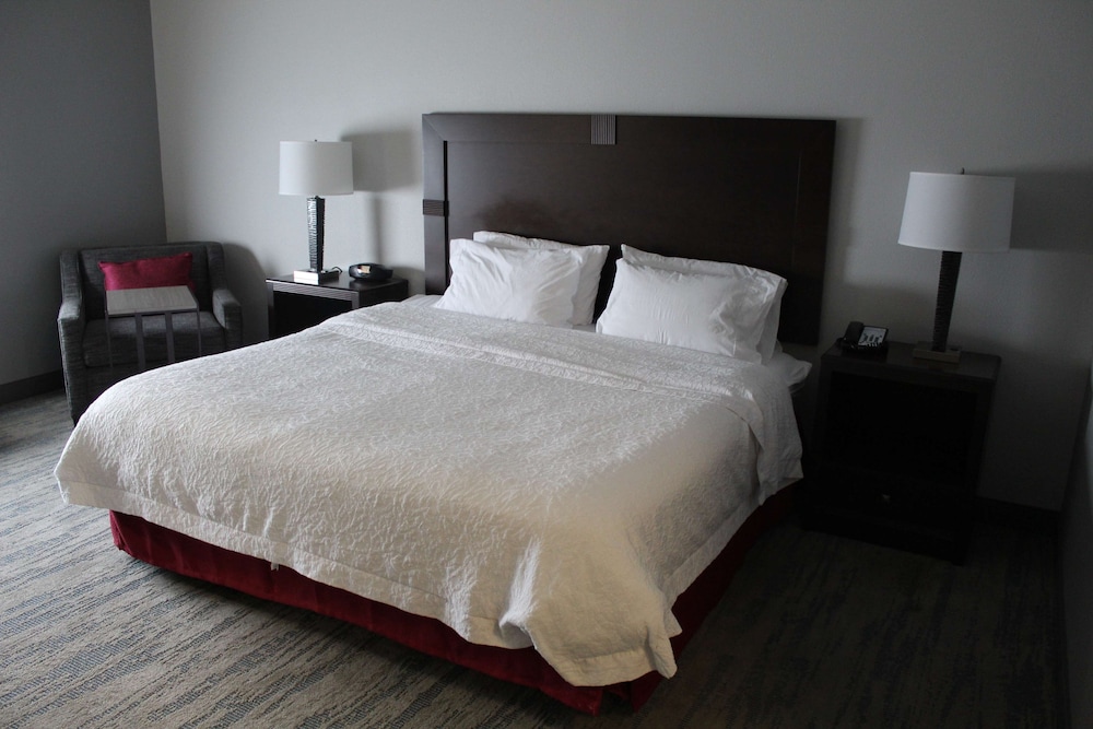 Hampton Inn Indianapolis NW Zionsville - photo 19