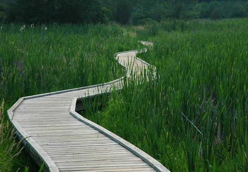 Sonesta Es Suites Somers Point - photo 5