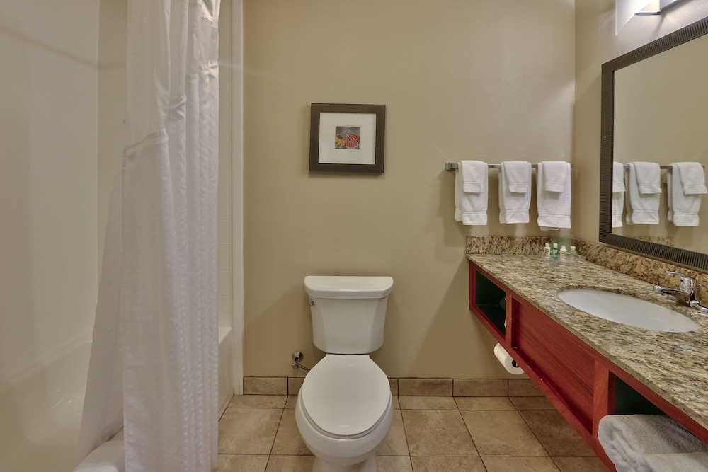 Holiday Inn Roswell by IHG - photo 15