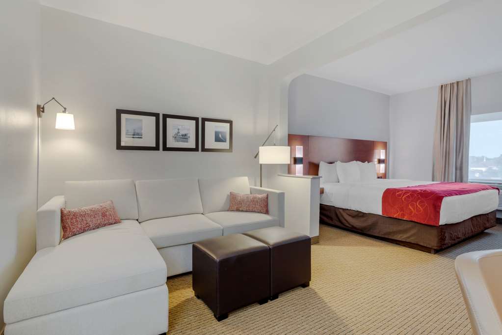 Comfort Suites La Porte Baytown - photo 14