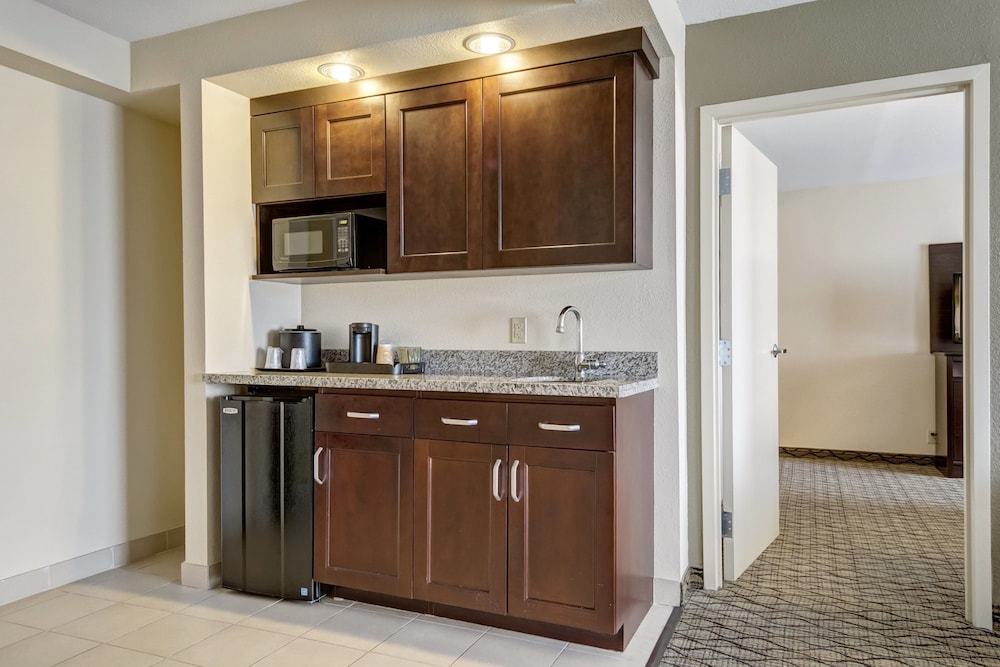 Holiday Inn St. Louis Arpt West Earth City by IHG - photo 22