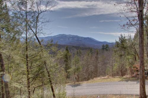 Amazing Views - photo 19