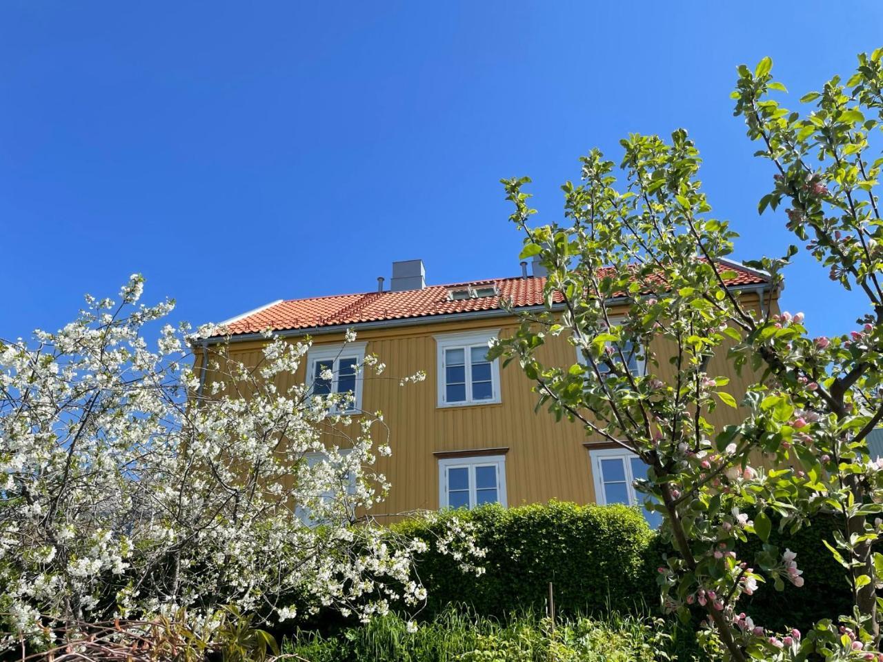 Tomannsbolig på Rosenborg in Trondheim, Norway