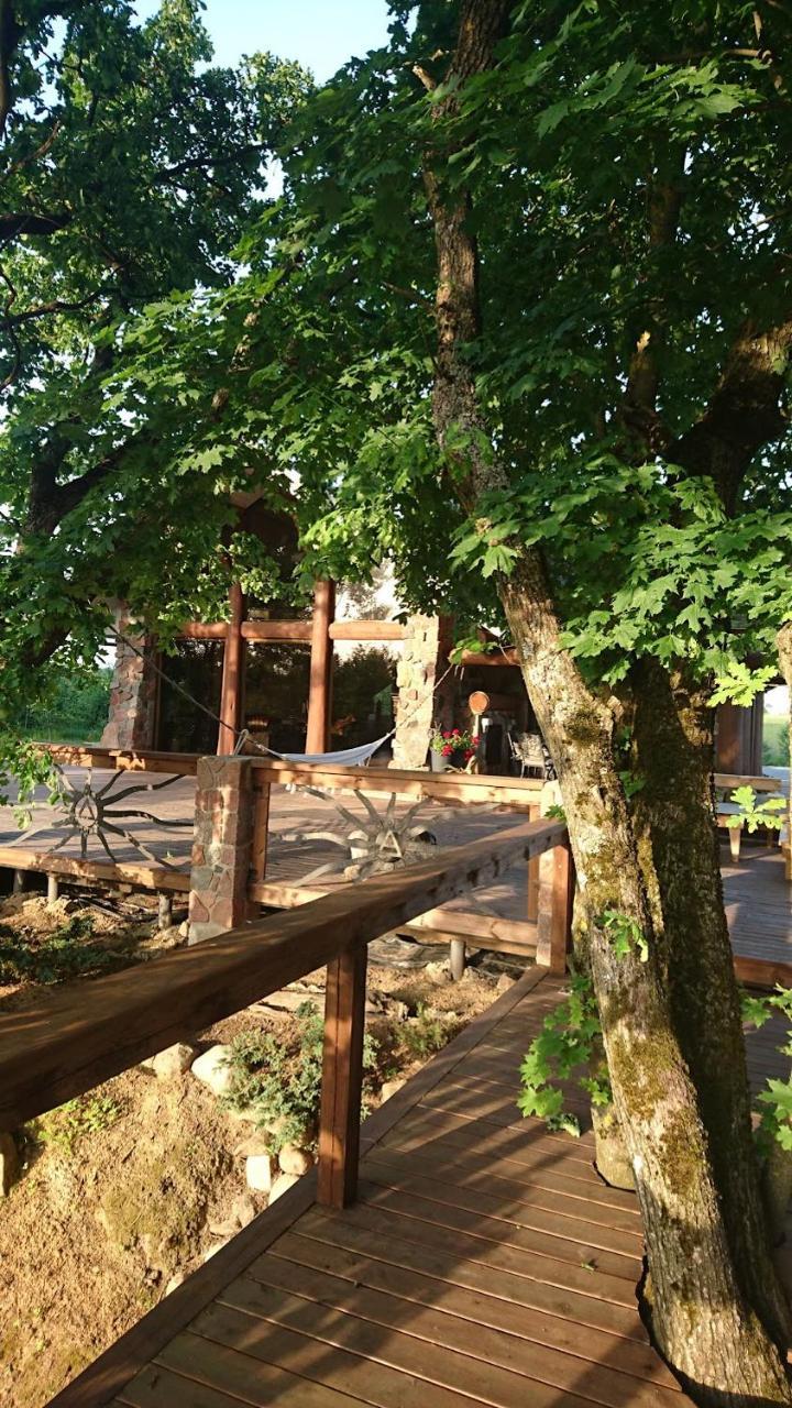 Ąžuolas in Unknown City, Lithuania