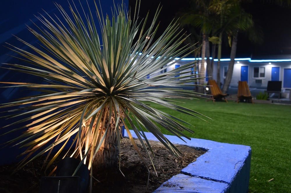 Calafia Inn - photo 37