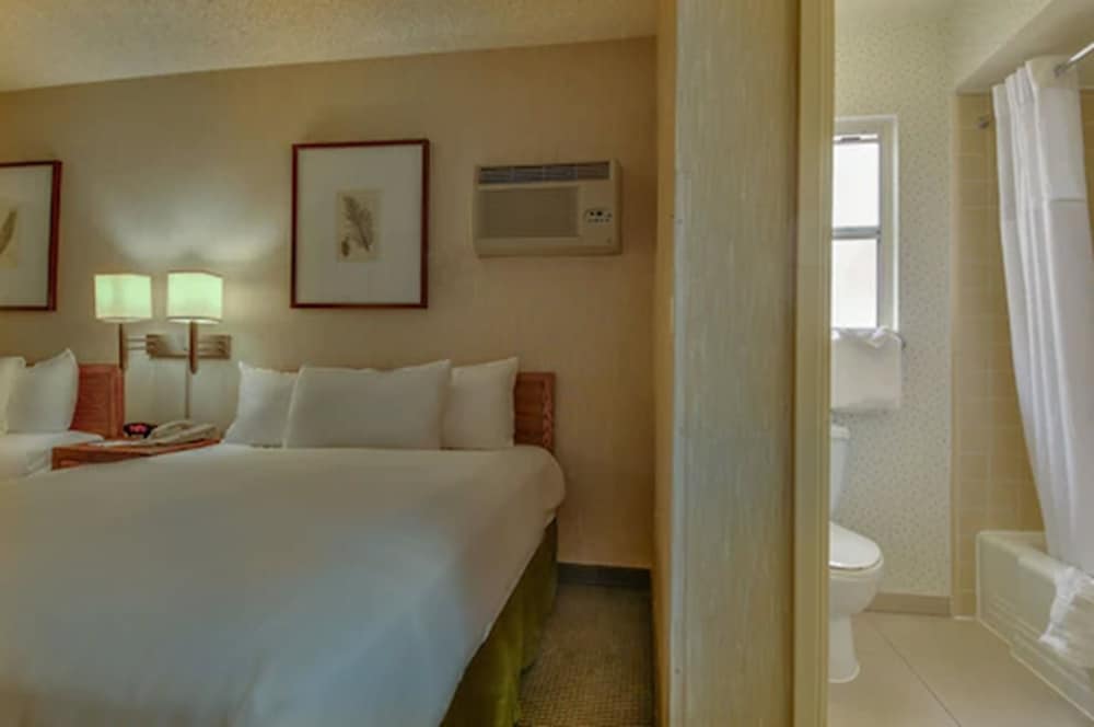 Vagabond Inn Los Angeles at USC - photo 13