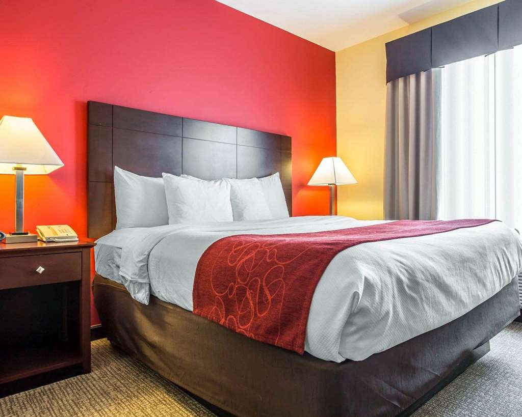 Comfort Suites Rock Hill Manchester Meadows Area - photo 16