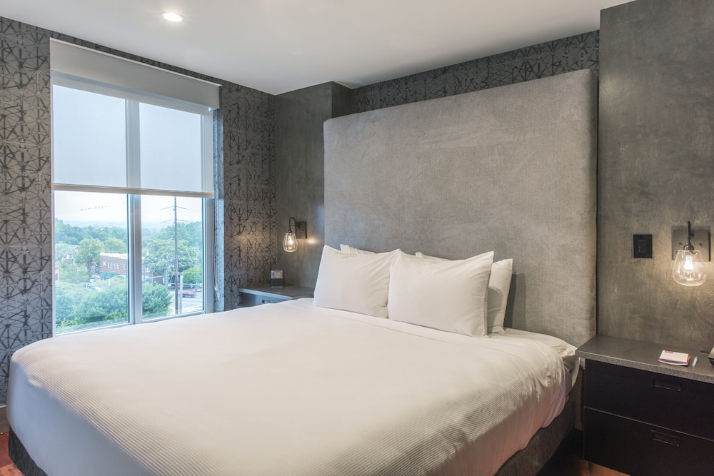 DoubleTree by Hilton Asheville Downtown - photo 7