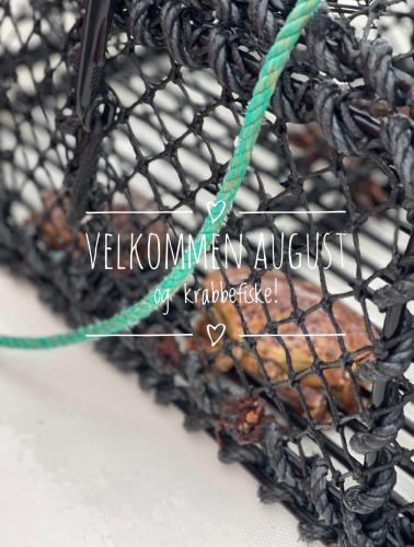 No7 Risør — Risor — photo 2