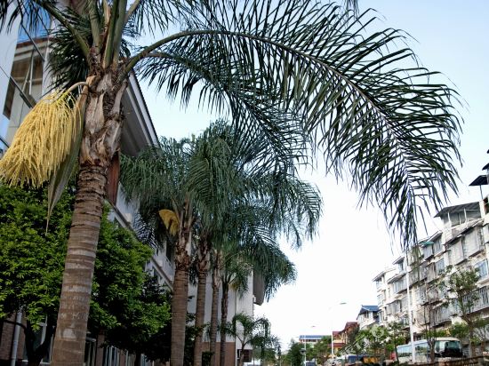 Hongyun Sports Hotel in Wuyishan, People's Republic of China