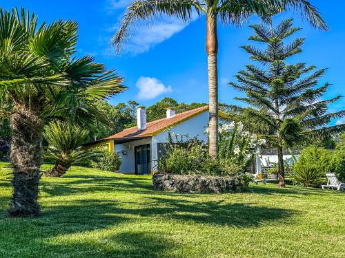 Quinta do Ananás Pineapple Farm in Sao Roque, Portugal