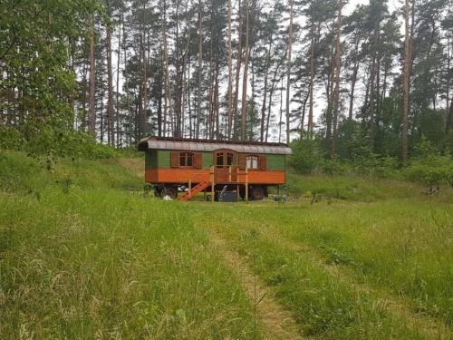 Zigappo Pullman — Lychen — photo 2