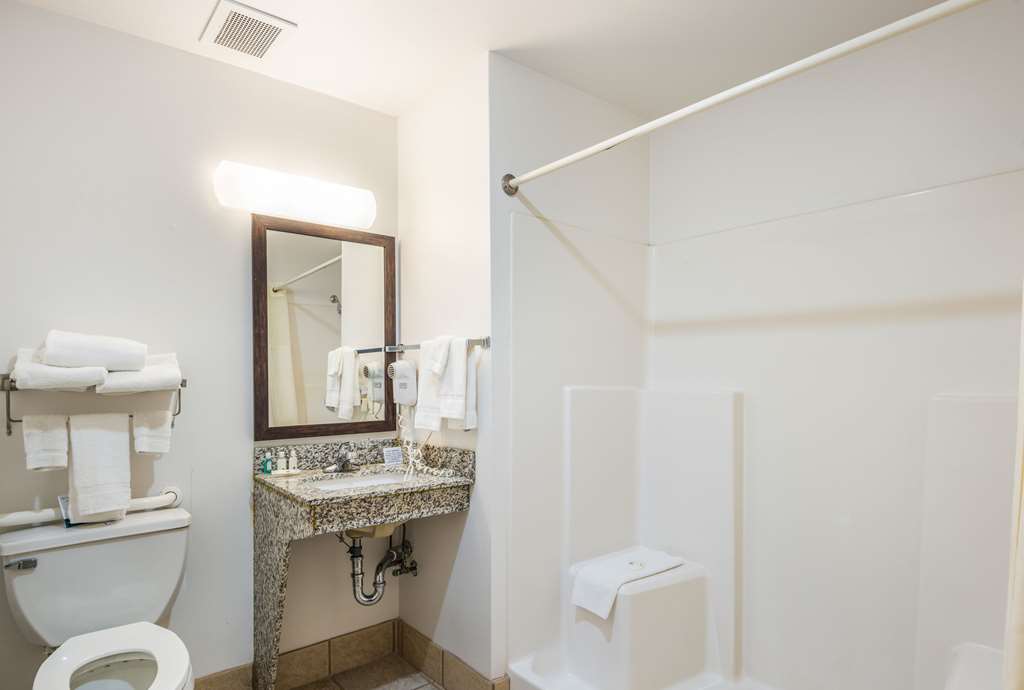 Quality Inn & Suites Eldridge Davenport North - photo 17